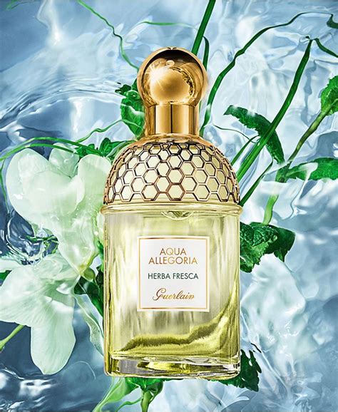 guerlain aqua allegoria herba fresca